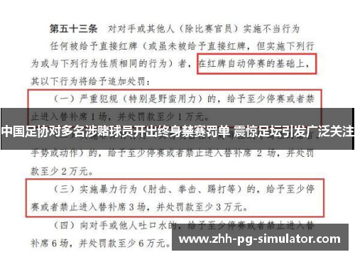 中国足协对多名涉赌球员开出终身禁赛罚单 震惊足坛引发广泛关注 中国足协对多名涉赌球员开出终身禁赛罚单 震惊足坛引发广泛关注
